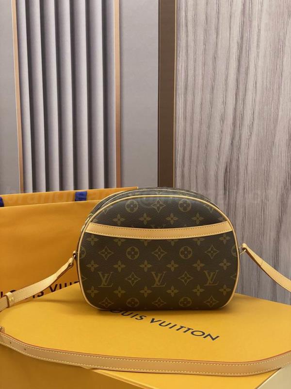 LV Handbags 371